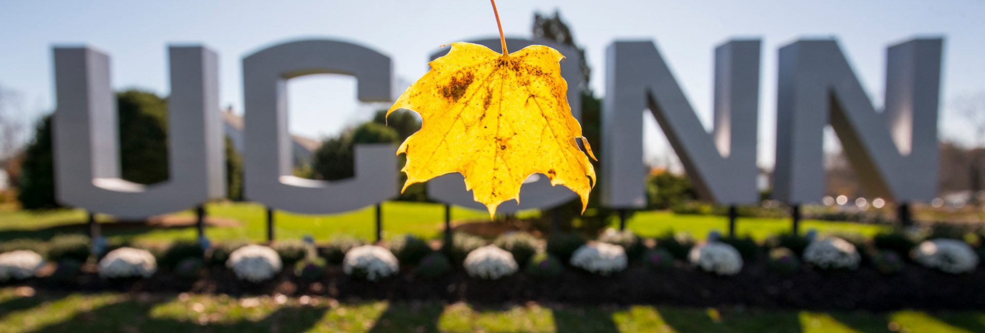 large metal uconn sign